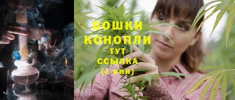 наркошоп  Кисловодск  Шишки марихуана Ganja 